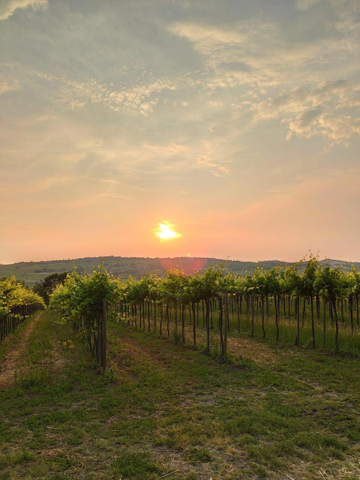 Santa Maria della Versa Agriturismo Bosco Longhino المظهر الخارجي الصورة